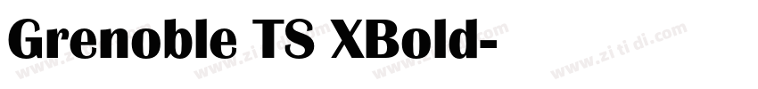 Grenoble TS XBold字体转换